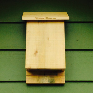 Benefits of Installing Bat Houses