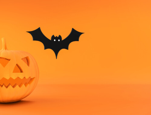 Fun Facts About Bats! Halloween 2020