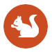Squirrel Removal Services